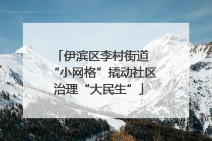 伊滨区李村街道 “小网格”撬动社区治理“大民生”