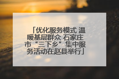 优化服务模式 温暖基层群众 石家庄市“三下乡”集中服务活动在赵县举行