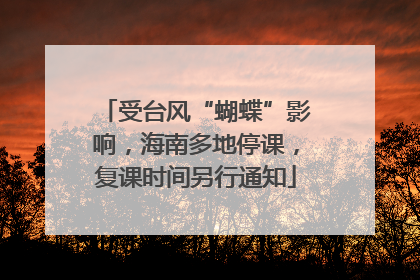 受台风“蝴蝶”影响，海南多地停课，复课时间另行通知