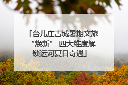 台儿庄古城暑期文旅“焕新” 四大维度解锁运河夏日奇遇
