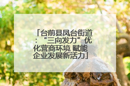 台前县凤台街道：“三向发力”优化营商环境 赋能企业发展新活力
