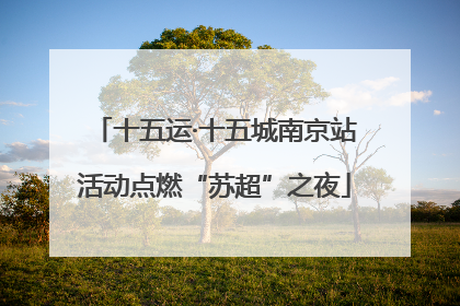 十五运·十五城南京站活动点燃“苏超”之夜