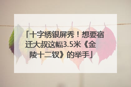 十字绣银屏秀！想要宿迁大叔这幅3.5米《金陵十二钗》的举手