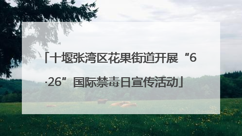 十堰张湾区花果街道开展“6·26”国际禁毒日宣传活动