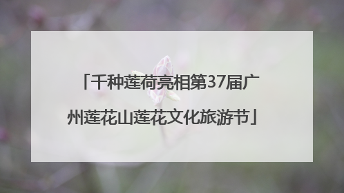 千种莲荷亮相第37届广州莲花山莲花文化旅游节