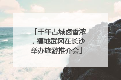 千年古城卤香浓，福地武冈在长沙举办旅游推介会