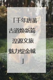 千年唐蕃古道焕新篇 湟源文旅魅力绽金城