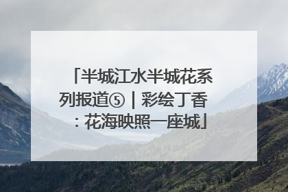 半城江水半城花系列报道⑤｜彩绘丁香：花海映照一座城