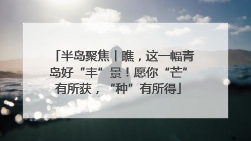 半岛聚焦丨瞧，这一幅青岛好“丰”景！愿你“芒”有所获，“种”有所得