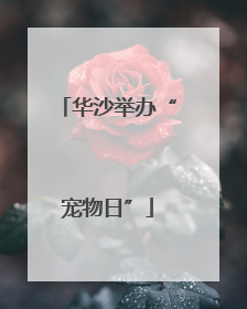 华沙举办“宠物日”