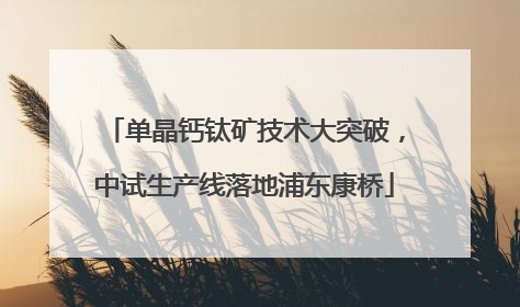 单晶钙钛矿技术大突破，中试生产线落地浦东康桥