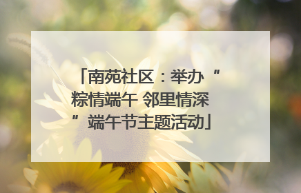 南苑社区：举办“粽情端午 邻里情深”端午节主题活动
