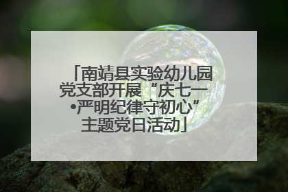 南靖县实验幼儿园党支部开展“庆七一•严明纪律守初心”主题党日活动