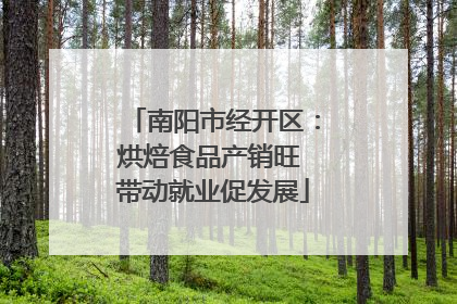 南阳市经开区：烘焙食品产销旺 带动就业促发展