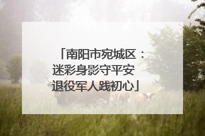 南阳市宛城区：迷彩身影守平安 退役军人践初心