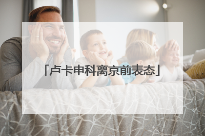 卢卡申科离京前表态