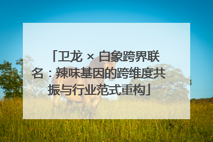 卫龙 × 白象跨界联名：辣味基因的跨维度共振与行业范式重构