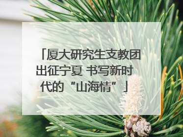 厦大研究生支教团出征宁夏 书写新时代的“山海情”