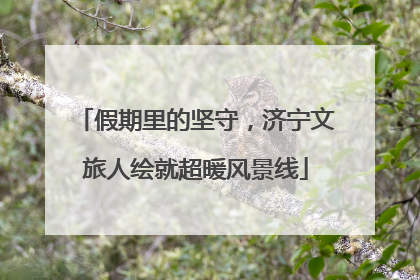 假期里的坚守，济宁文旅人绘就超暖风景线