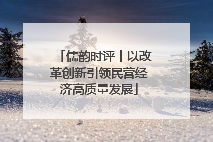 儒韵时评丨以改革创新引领民营经济高质量发展