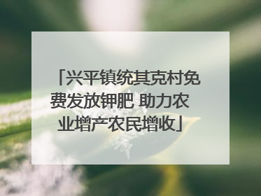 兴平镇统其克村免费发放钾肥 助力农业增产农民增收