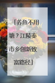 养鱼不用塘？江陵秦市乡创新致富路径