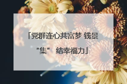 党群连心共富梦 钱景 “集” 结幸福力