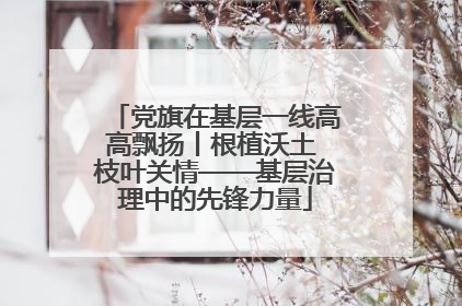 党旗在基层一线高高飘扬丨根植沃土 枝叶关情——基层治理中的先锋力量