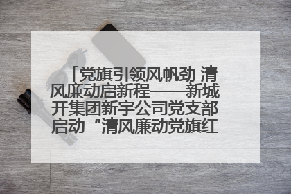 党旗引领风帆劲 清风廉动启新程——新城开集团新宇公司党支部启动“清风廉动党旗红”系列活动