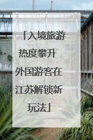 入境旅游热度攀升 外国游客在江苏解锁新玩法