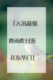 入汛最强降雨昨日落在东华门