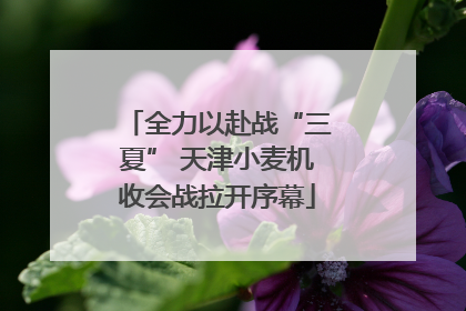 全力以赴战“三夏” 天津小麦机收会战拉开序幕