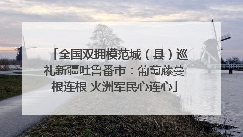 全国双拥模范城（县）巡礼新疆吐鲁番市：葡萄藤蔓根连根 火洲军民心连心