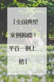 全国典型案例揭晓！平谷一例上榜