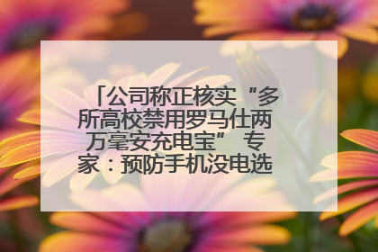 公司称正核实“多所高校禁用罗马仕两万毫安充电宝” 专家：预防手机没电选中等体积产品即可