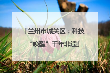 兰州市城关区：科技“唤醒”千年非遗