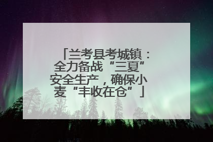 兰考县考城镇：全力备战“三夏”安全生产，确保小麦“丰收在仓”