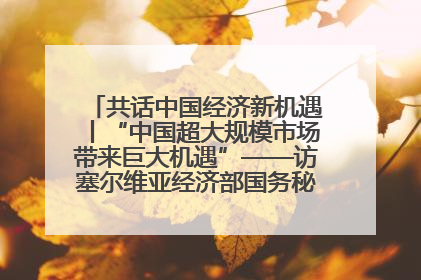 共话中国经济新机遇丨“中国超大规模市场带来巨大机遇”——访塞尔维亚经济部国务秘书尼科利奇