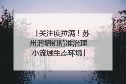 关注度拉满！苏州渭塘镇精准治理小流域生态环境