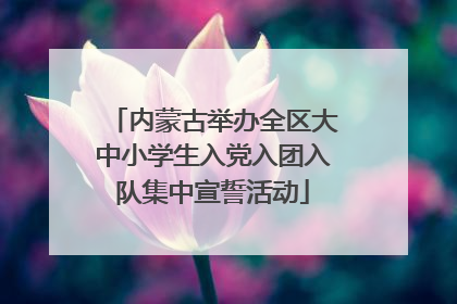内蒙古举办全区大中小学生入党入团入队集中宣誓活动