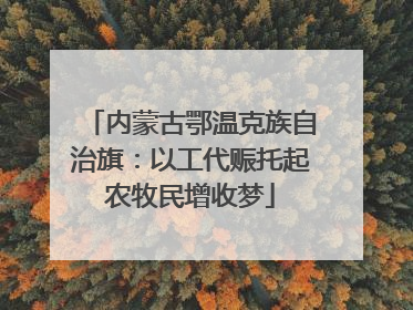 内蒙古鄂温克族自治旗：以工代赈托起农牧民增收梦
