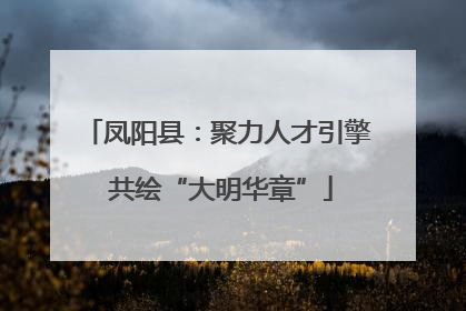 凤阳县：聚力人才引擎 共绘“大明华章”