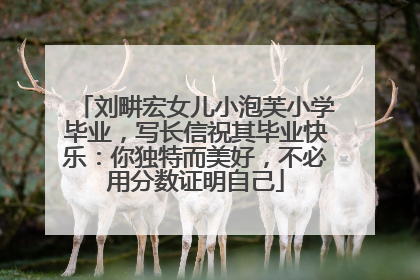 刘畊宏女儿小泡芙小学毕业，写长信祝其毕业快乐：你独特而美好，不必用分数证明自己