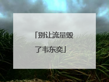 别让流量毁了韦东奕