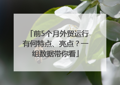 前5个月外贸运行有何特点、亮点？一组数据带你看