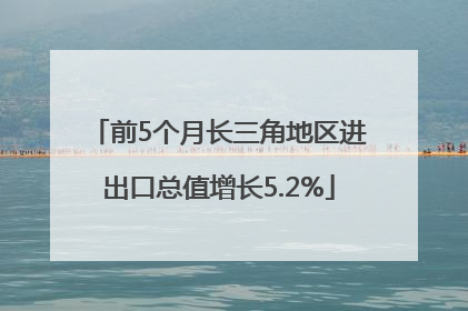 前5个月长三角地区进出口总值增长5.2%