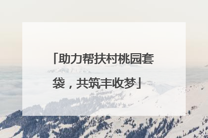 助力帮扶村桃园套袋，共筑丰收梦