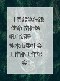 勇毅笃行践使命 奋楫扬帆启新程——神木市委社会工作部工作纪实