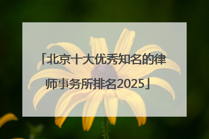 北京十大优秀知名的律师事务所排名2025