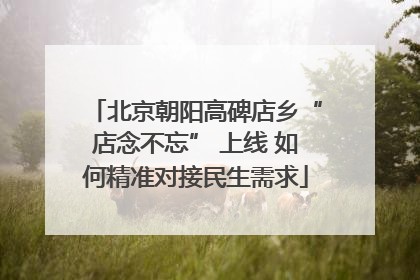 北京朝阳高碑店乡“店念不忘” 上线 如何精准对接民生需求